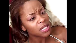 kitten is caught by a dwarf